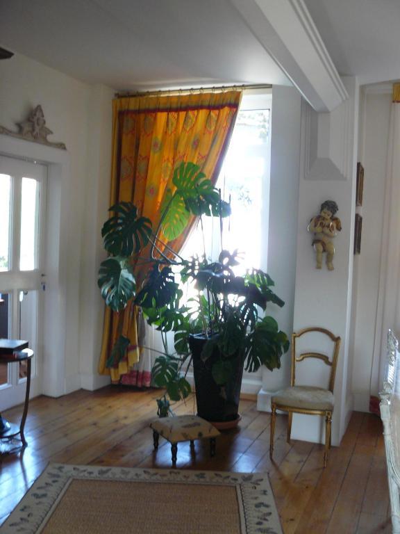 Chambres D'Hotes L'Albinque Castres  Esterno foto
